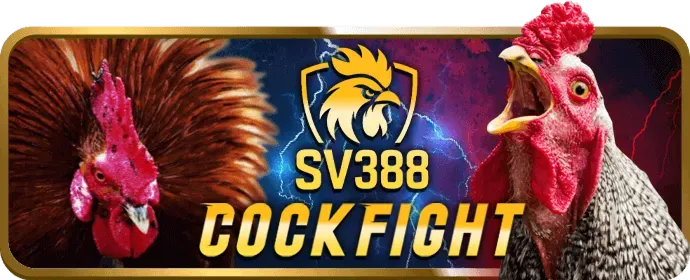 Hướng dẫn đăng ký và đặt cược đá gà tại bot88 win