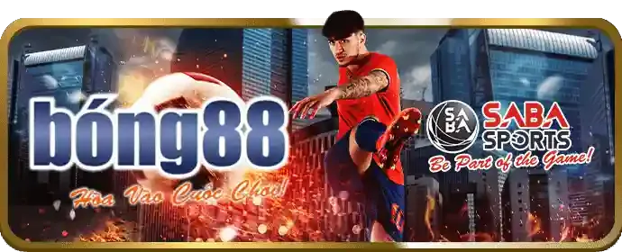 Nhiều dụng cụ thể thao khác nhau, tượng trưng cho sự đa dạng
